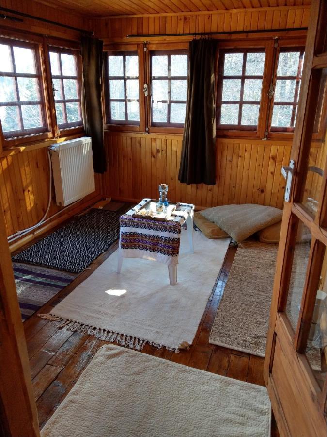 Grandpa'S Hidden Crib, 6 Bedroom, Pet Friendly ซินายา ภายนอก รูปภาพ