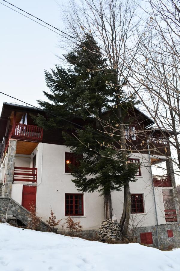 Grandpa'S Hidden Crib, 6 Bedroom, Pet Friendly ซินายา ภายนอก รูปภาพ
